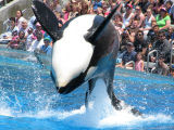 San Diego - Sea World