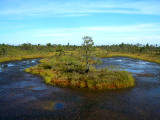 Národní park Kemeri