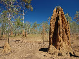 Kakadu National Park