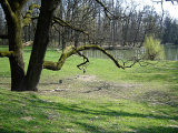 Záhřeb – Park Maksimir