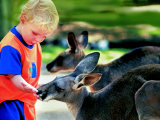 Z indonéské džungle do australského vnitrozemí - dětský den v pražské ZOO