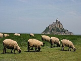 Mont Saint Michel - hora duchů